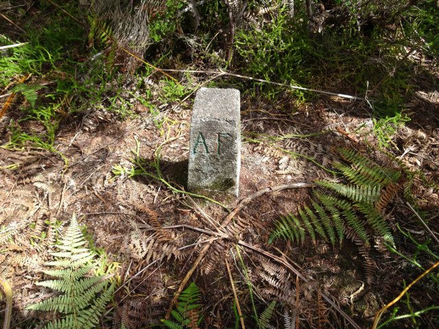 Une borne de l'administration de forêts de l'époque marque la fin de la grimpette