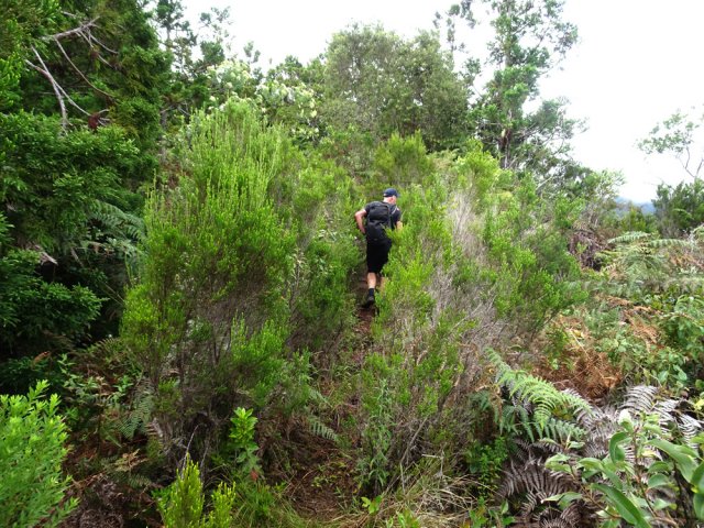 Le sentier longe la vallée profonde du Grand Bras et de la Ravine Cyril