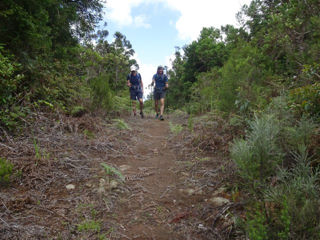 Le dernier hectomètre emprunte une ancienne piste d'exploitation