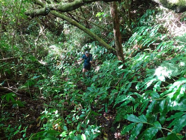 Le sentier remonte fortement dans les longoses