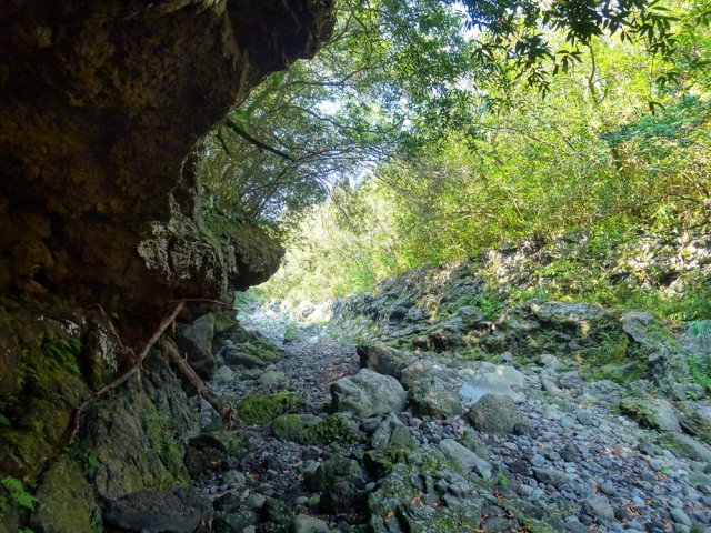Sur la gauche, haute falaise couverte de jamrosats