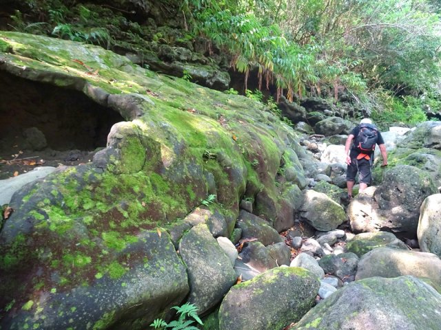 De très anciens vestiges de tunnels de lave