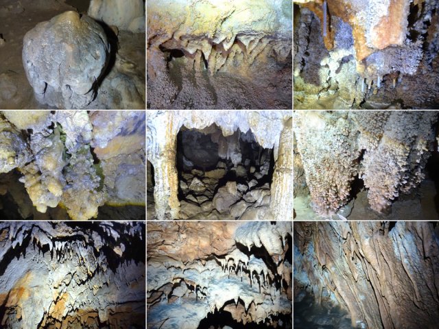Ouvrir grand les yeux pour ne rien manquer du spectacle de la nature