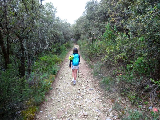 Le sentier principal, large, caillouteux est en faible pente
