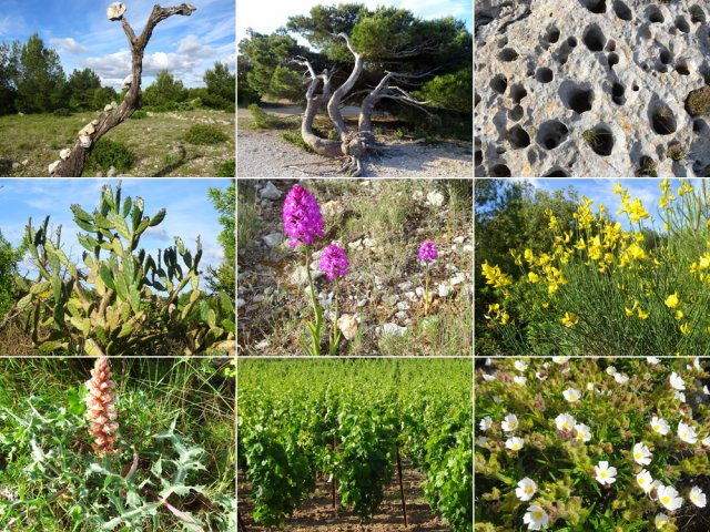 Le printemps favorise les belles observations de la nature