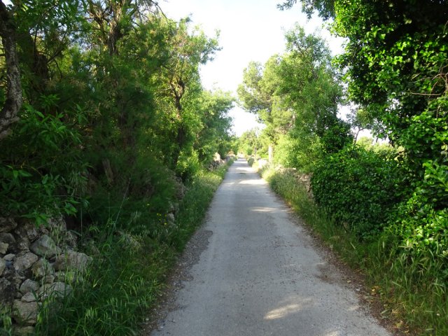 Emprunter la petite route du Chemin de La Franqui