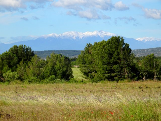 Ne pas manquer les vues sur le Canigou et les Pyrénées
