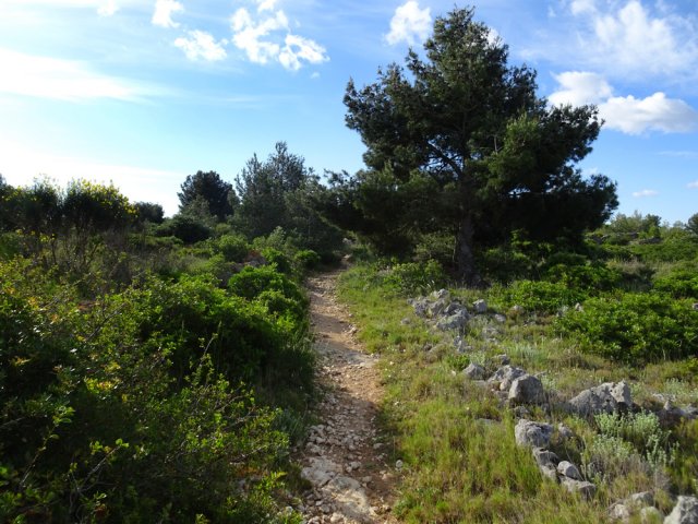 On marche plus loin sur de beaux sentiers