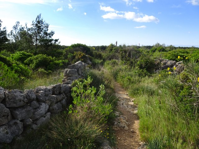 Beaucoup de murets témoignent du passé pastoral de la zone