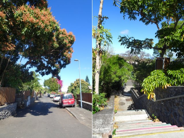 Le Chemin du Bassin Bleu et son escalier