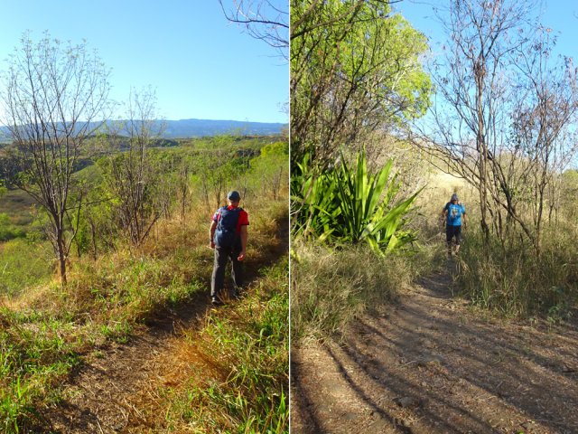 Sentier bien marqué par le passage du Trail de l'Epéron