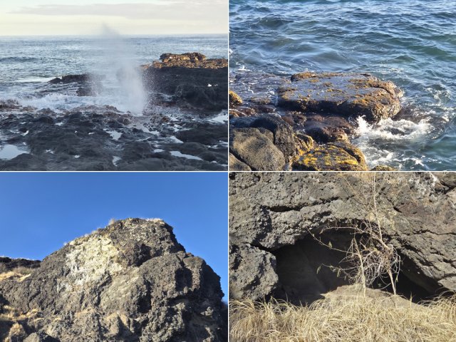 Nombreuses curiosités lors de cette balade en bord de mer