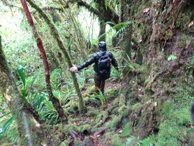 On entame une longue descente en se rapprochant d'une ravine invisible