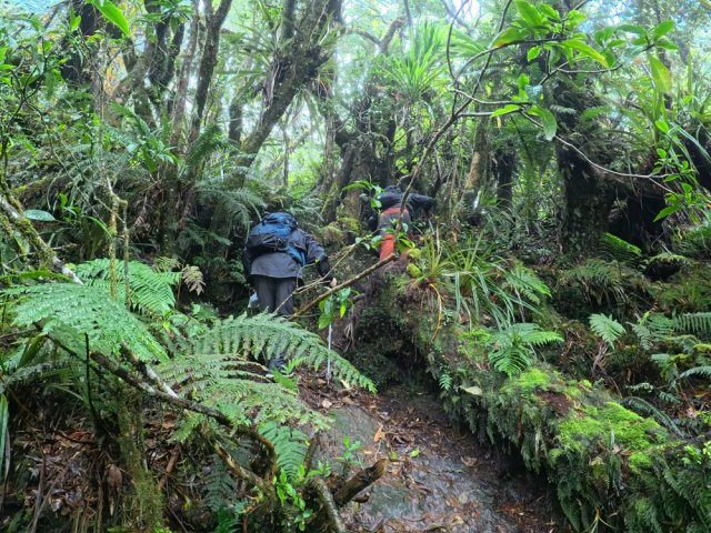 La trace suit parfois de petites ravines au fond glissant