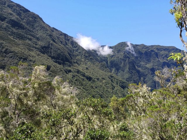 La réserve du Grand Matarum domine la Forêt de la Mare à Joseph