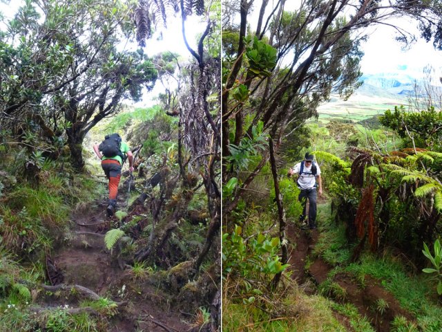 Sentier exigeant pour la montée au Piton Rouge